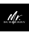 Mr Burberry